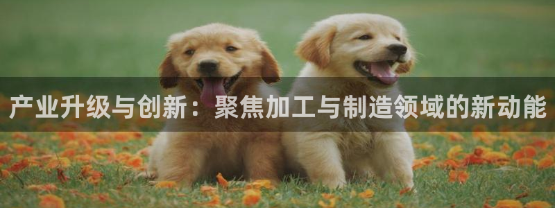 华润娱乐2