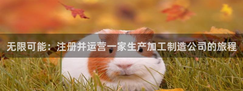 华润电子娱乐