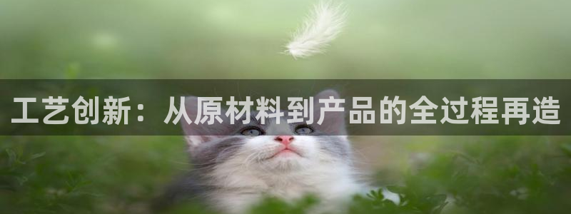 华润娱乐科技有限公司