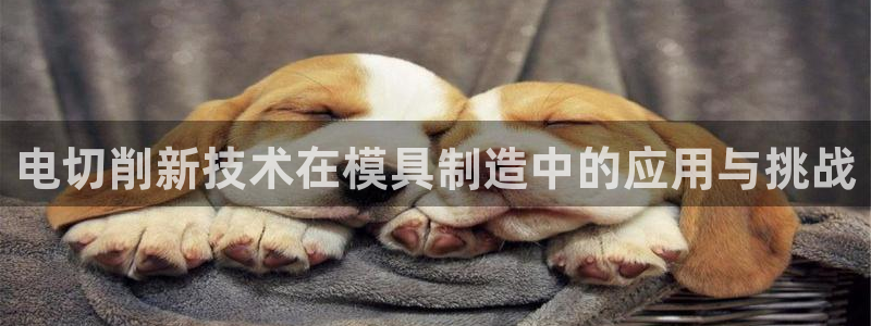 华润娱乐07c娱乐333OO