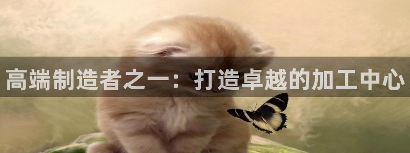 华润娱乐酶 92222