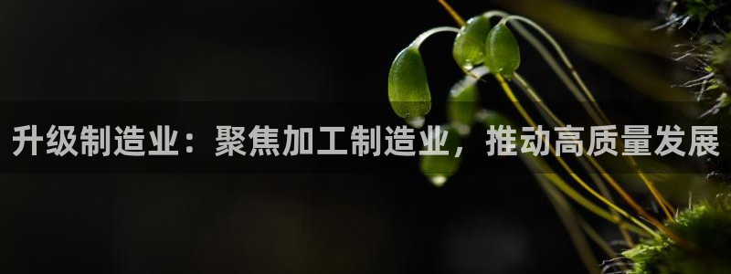 H华润娱乐