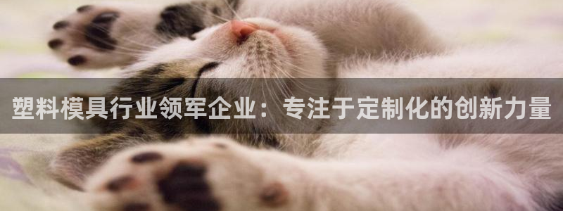 华润娱乐董判官21