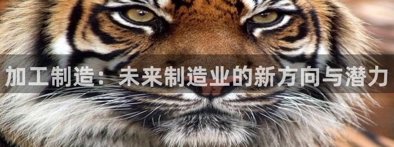 华润娱乐雍95692