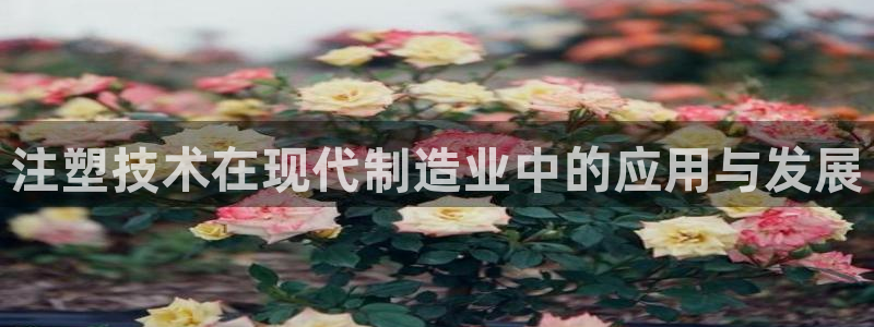 华润娱乐比92222
