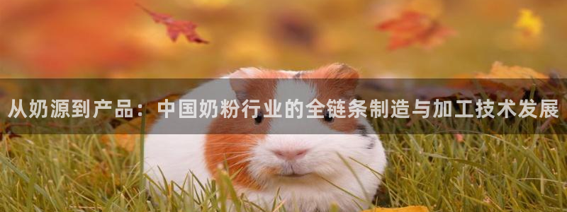 华润娱乐