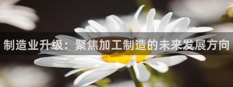 华润娱乐酶 92222