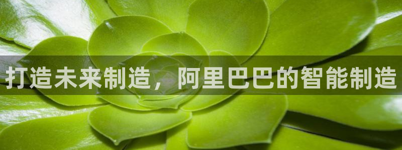 华润娱乐心