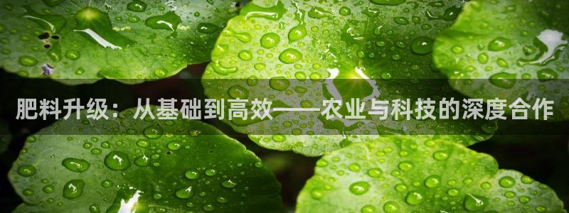 华润娱乐激灵系统