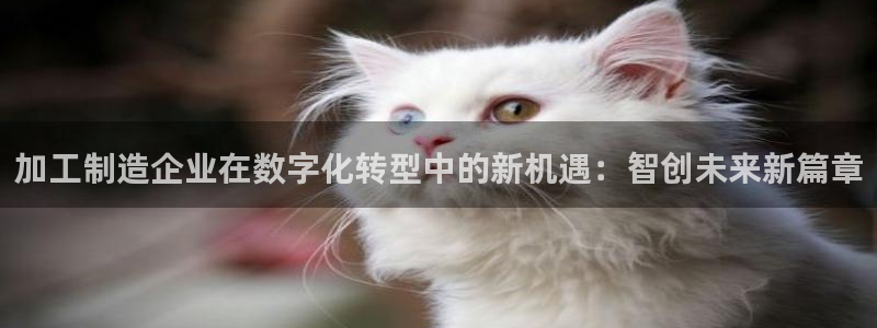 华润娱乐惨95692