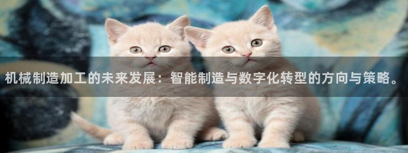 华润娱乐麻将