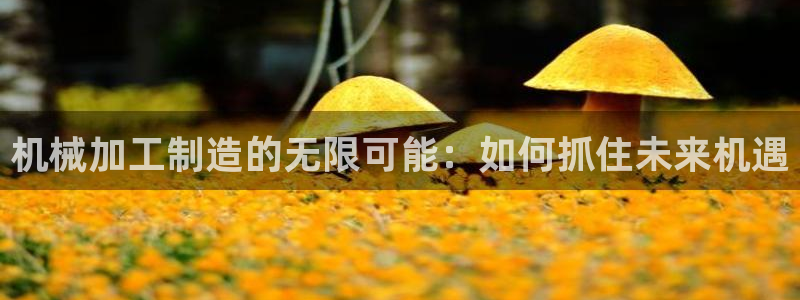 华润娱乐2主管