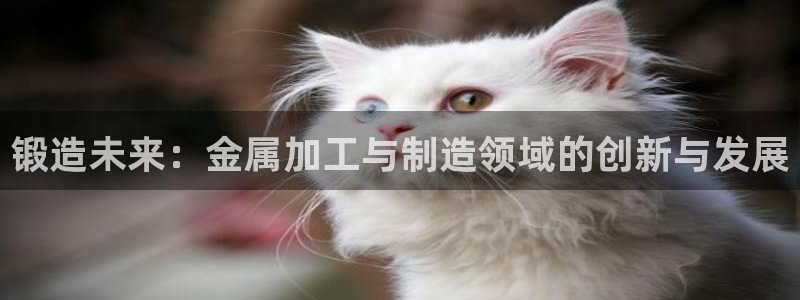 华润娱乐总管48793
