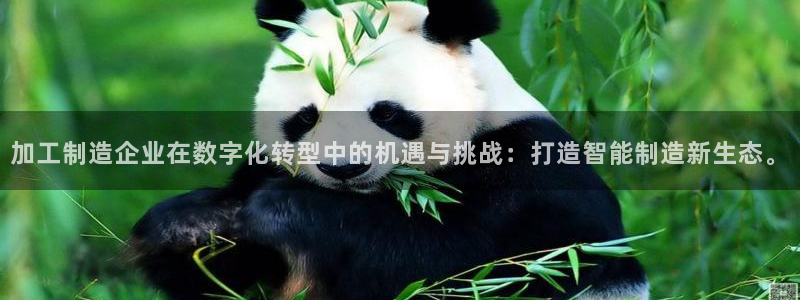 华润注娱乐注册