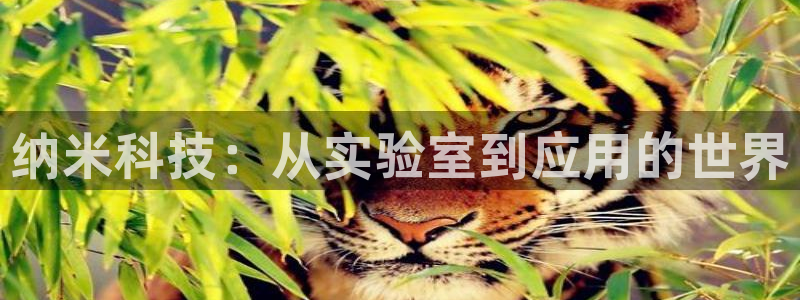 H华润娱乐