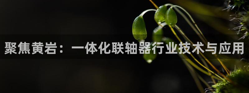 华润娱乐天7O667