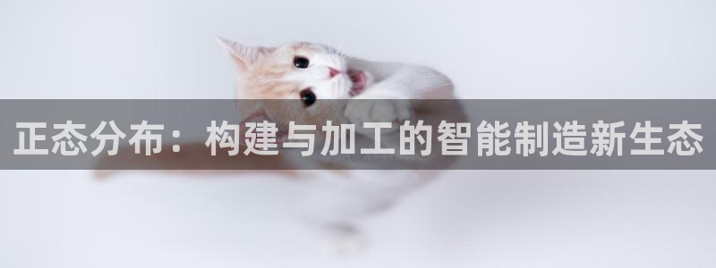 华润娱乐酶 92222