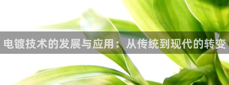 华润娱乐亮580583