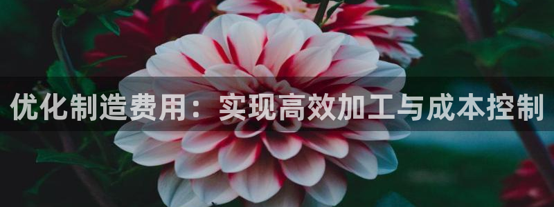华润娱乐技术前景