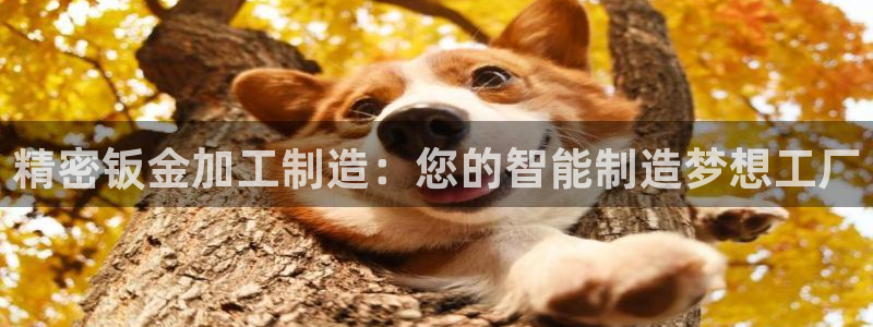 华润注册平台娱乐