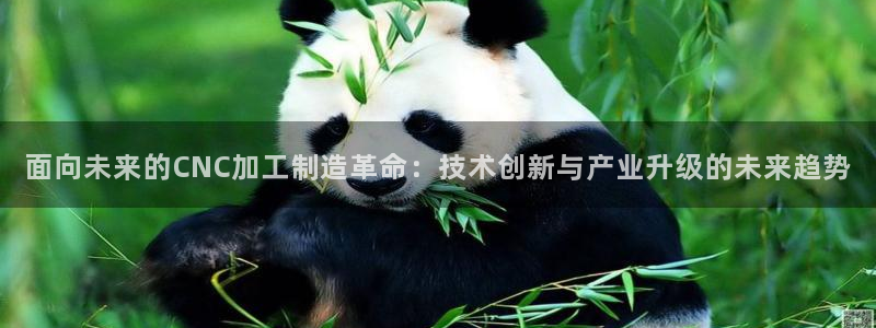华润旗下娱乐产业有哪些