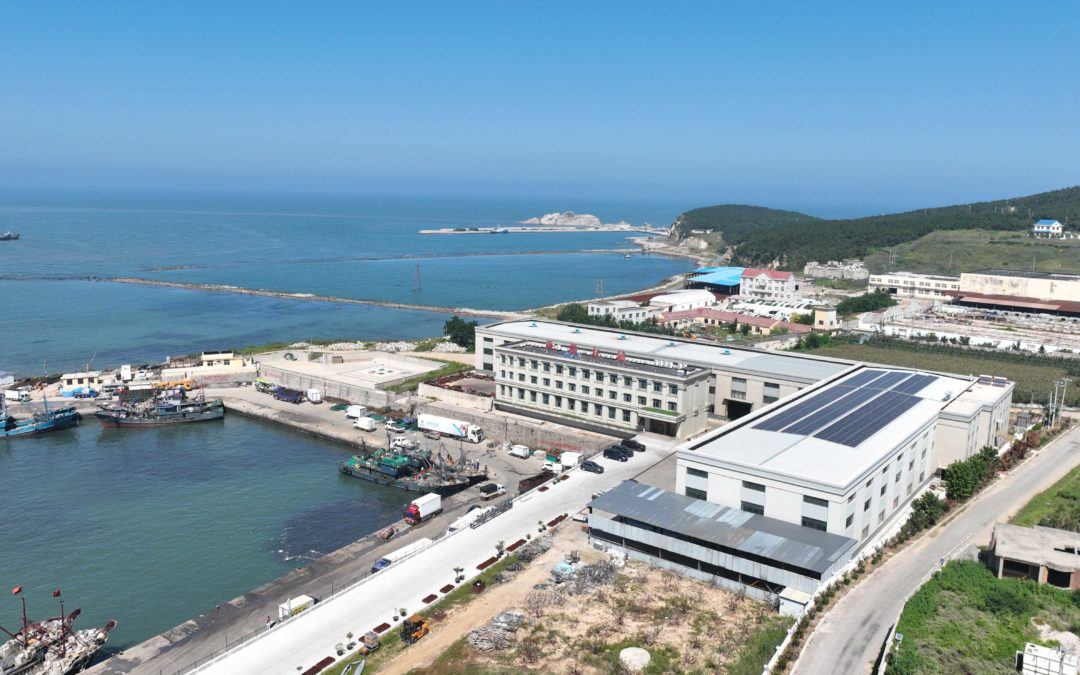 不朽情缘-官方网站